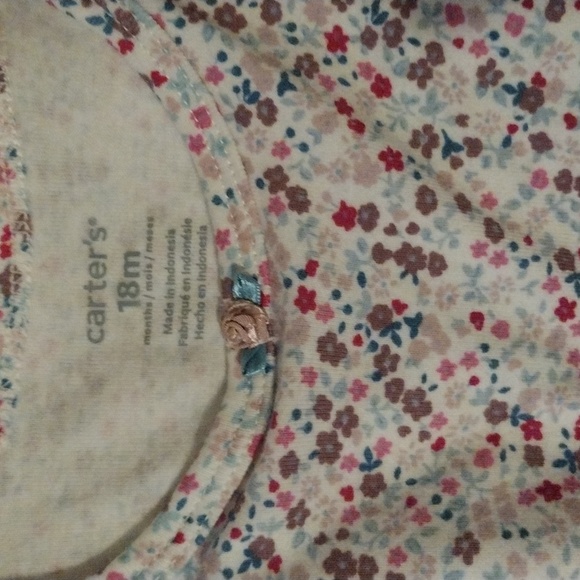 Toddler Girls Clothing Carter's size 18 months - Picture 12 of 15